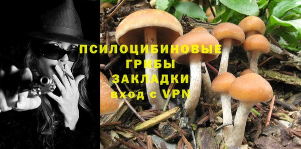 MDMA Premium VHQ Белокуриха
