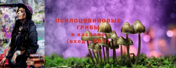 MDMA Premium VHQ Белокуриха